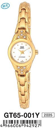 Наручные часы q&q   gt65-001y rus