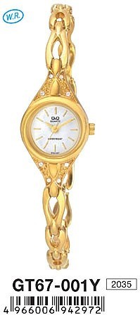 Наручные часы q&q   gt67-001y rus