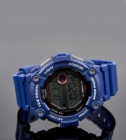 Наручные часы ws-1300h-2a