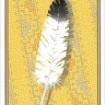 Карты "Indian Chiefs of the Old West Game & Playing Cards"