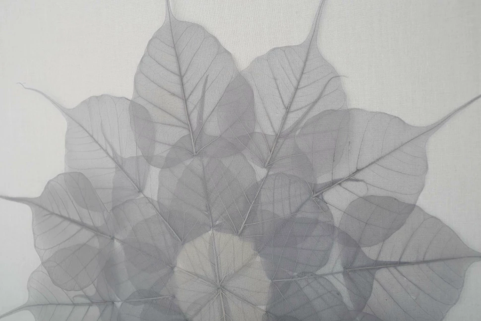 Картины tomas stern 83033