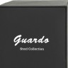 Наручные часы guardo s1655.8 сталь