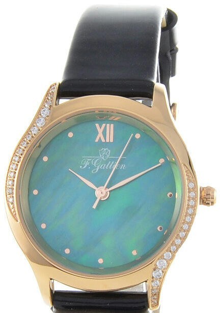 Наручные часы f.gattien 8883-1-118ч