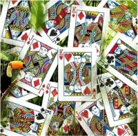 Карты "Infinity playing cards by D3PSY Standard index"