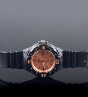 Наручные часы lrw-200h-9e2