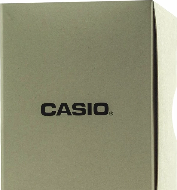 Наручные часы abl-100we-1b