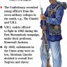 Карты "Uniforms of the Civil War Cards Game"