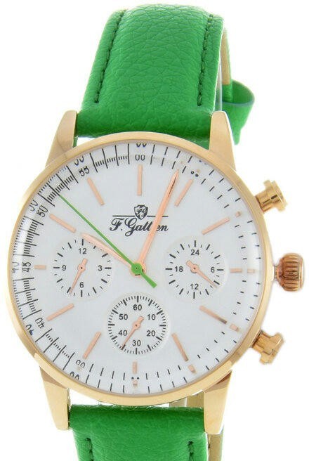Наручные часы f.gattien 232-411зел