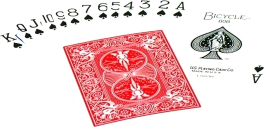 Карты игральные Bicycle Standard комплект из двух колод, красные и синие