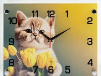 Настенные часы Рубин 2535-302