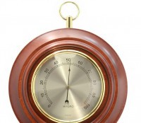 БРИГ+ ПБ-10 гигр.