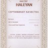 Набор фишек для нард "Герб РФ" с бронзой 206, Haleyan