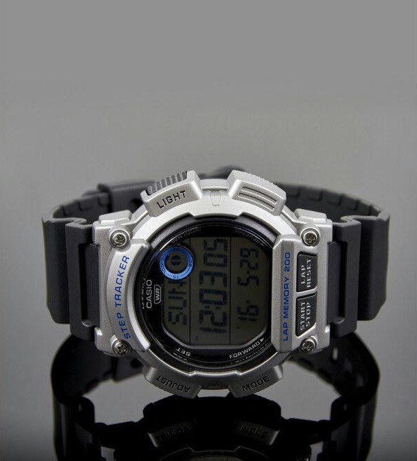 Наручные часы ws-2100h-1a2