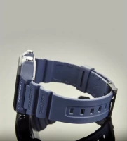 Наручные часы ws-1600h-2a