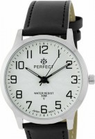 PERFECT GX017-460-1 big