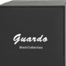 Наручные часы guardo s03186p.6.5 чёрный