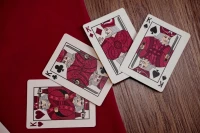 Карты &quot;Bicycle Snake Playing Cards&quot;