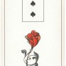 Карты Таро "Maybe Lenormand" US Games / Возможно Ленорман