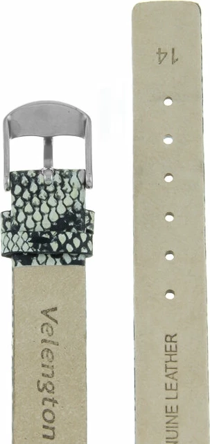 Ремешки velengton 14 чер-беж змея