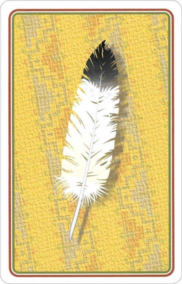 Карты "Indian Chiefs of the Old West Game & Playing Cards"