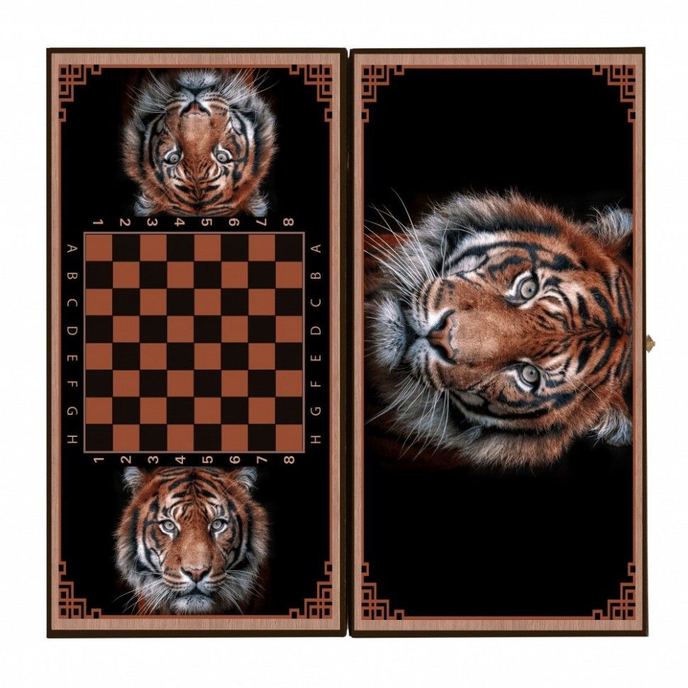 Rastiger50